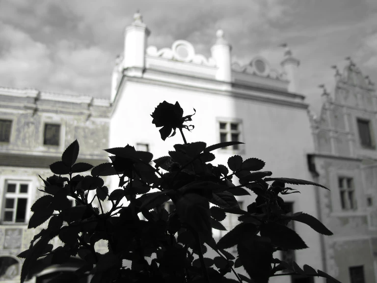 PÉČE O HISTORICKÉ PAMÁTKY, RESTAUROVÁNÍ PAMÁTEK A SLAVONICKÉ PODZEMÍ